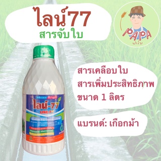 ไลน์77 (สารจับใบ) ขนาด 1ลิตร สารเคลือบใบ สารเพิ่มประสิทธิภาพ ยาจับใบ ตราเกือกม้า Unochem