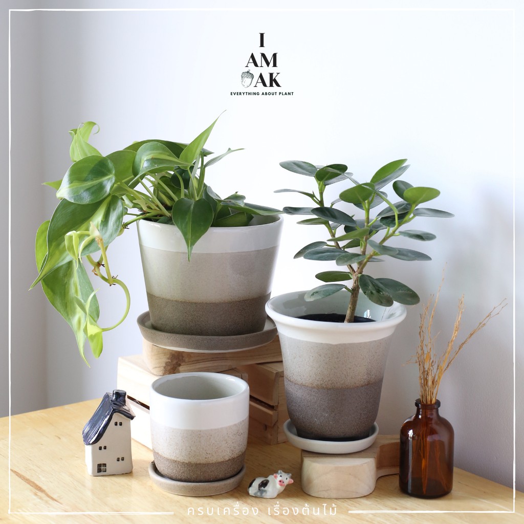 มุมมอง 2