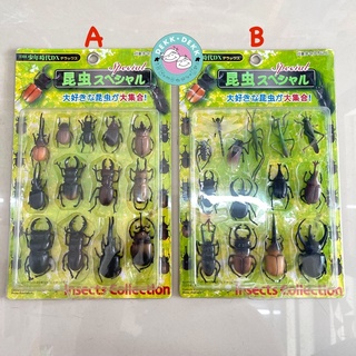 โมเดลแมลงต่างๆ โมเดลแมลงปีกแข็ง แมลงปลอม ด้วงปลอม ตั๊กแตนปลอม INSECT special collection