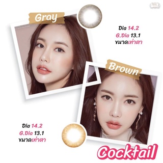 protrendcolor : คอนแทคเลนส์ รุ่น  Cocktail sherbet brown / Cocktail ash gray