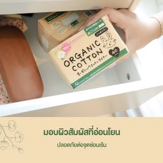 (แพ็คคู่)แผ่นอนามัย คอตตอน ลาโบ ออแกนิค แพนตี้ ไลน์เนอร์ (Cotton Labo Organic Panty Liner)