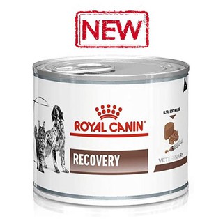 อาหารสัตว์ป่วย พักฟื้น Royal Canin Recovery