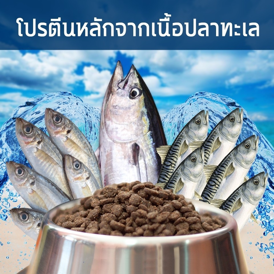 💥สินค้าส่งไว💥อาหารสุนัข วีแคร์ยู รูปที่ 5