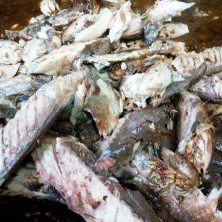 น้ำพริก ไตปลาแห้ง สูตรปักษ์ใต้ ( ขนาด500 กรัม ) ไตปลา ฮาลาล 100% แกงไตปลาแห้ง แกงไตปลา เผ็ด เเซ่บ