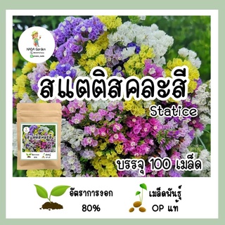 เมล็ดพันธุ์ ดอกสแตติส 100 เมล็ด คละสี เมล็ดพันธุ์ OP แท้