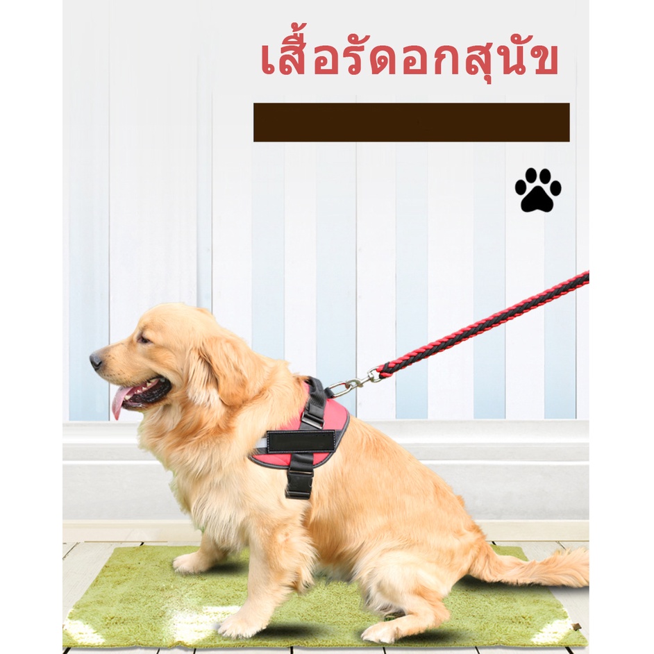 AL-030 เสื้อรัดอก เสื้อกั๊ก สายรัดอก ชุดรัดอก สุนัข หมา แมว ใส่ชื่อได้ สวมใส่ง่าย มีหลายสี พร้อมส่ง
