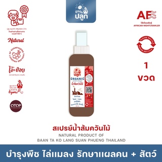 Baan ปลูก : 1 ขวด สเปรย์น้ำส้มควันไม้ บำรุงพืช ไล่มด เเมลง จิ้งจก ตุ๊กเเก (ไม่เป็นการฆ่า) รักษาเเผลคน + สัตว์