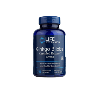 LE Ginkgo Biloba อาหารเสริมบำรุงสมอง ความจำ Life Extension Thailand