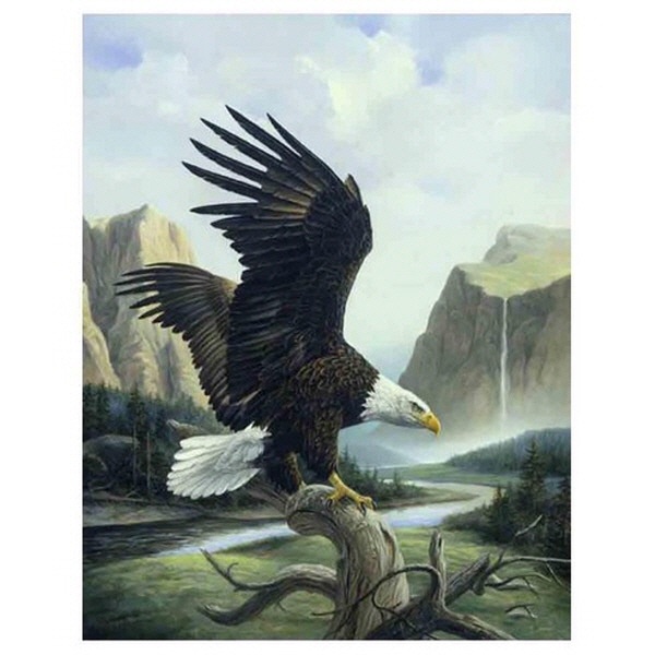 DIY 5D 5D รอบลูกปัดเต็ม Eagle เพชรจิตรกรรม,ลูกปัด