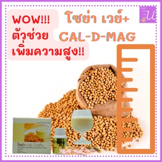 CAL D MAG SOYA แคลเซียม โซย่า เวย์โปรตีน นมถั่วเหลือง โปรตีน มีกรดอะมิโนจำเป็นต่อร่างกาย เพิ่มความสูง เพิ่มมวลกล้ามเนื้อ