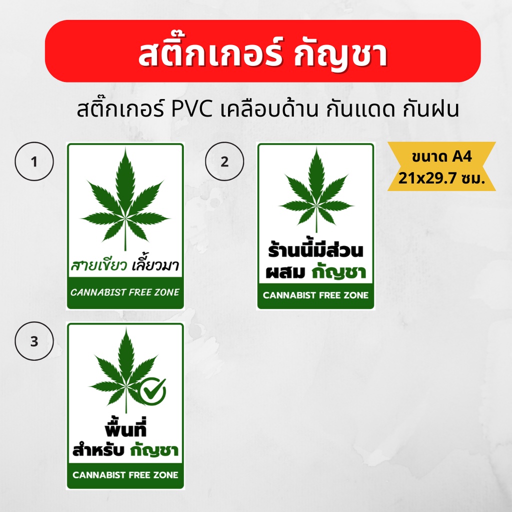 สติ๊กเกอร์ "ร้านนี้มีส่วนผสม กัญชา" สติ๊กเกอร์ PVC เคลือบด้าน กันน้ำ ทนแดด ขนาด A4 21x29.7 ซม. มี 3 