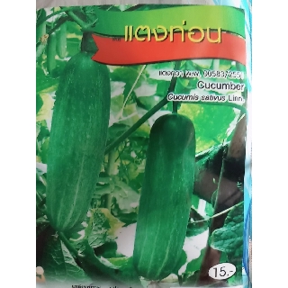 แตงกวาท่อน (Cucumber) เจียใต๋