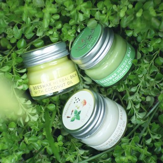 ยาหม่องขี้ผึ้ง Herbpiness ขนาด 20g. : สีขาว | สีเขียวพญายอ | สีเหลืองไพล BEESWAX BALM WHITE  | GREEN | YELLOW