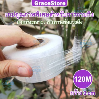 【Grace】3cmx120m เทปพันกิ่งไม้ อุปกรณ์ทำสวน เทปพันตอนกิ่ง อุปกรณ์การเกษตร เทปพันกิ่งทาบ พลาสติกทาบกิ่ง เทปติดตาต้นไม้