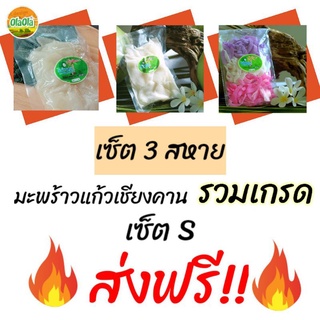 🔥ส่งฟรี🔥เซ็ต 3 สหาย เซ็ต S มะพร้าวแก้วเชียงคาน รวมเกรด พร้อมส่ง