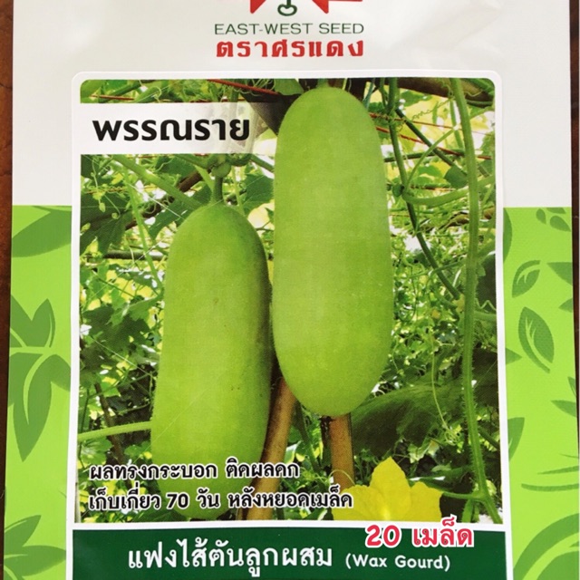 ศรแดง เมล็ด แฟง แฟงไส้ตัน พรรณราย 20 เมล็ด
