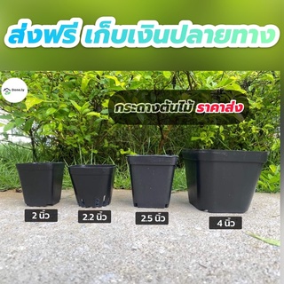 กระถางต้นไม้ พลาสติกสีดำ ขนาดเล็ก