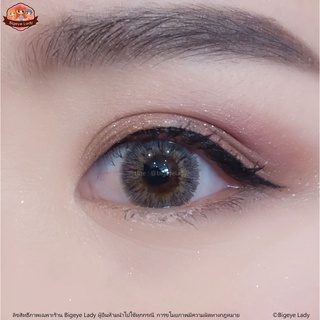 Glamour (Gray) ค่าสายตา 0.00-10.00 คอนแทคเลนส์