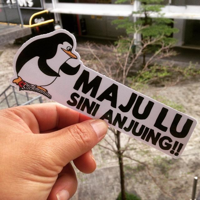 Maju lu sini anjing F413