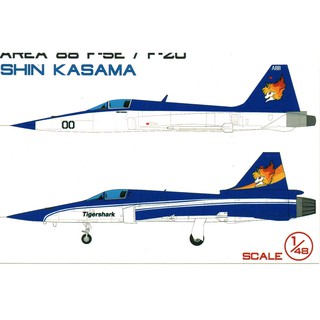 รูปลอกน้ำ Decal VEHA สเกล 1/48 AREA88 Set