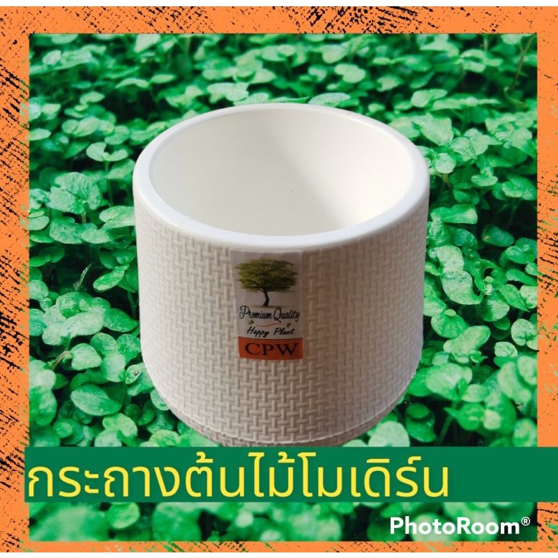กระถางโมเดิร์น​ ไม่ต้อง​กังวล​เรื่องรดน้ำ​