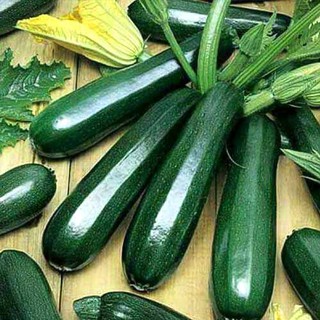 ซูกินีสีเขียว (เมล็ด) Black Beauty Zucchini Squash