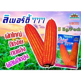 5กก. เมล็ดพันธุ์ ข้าวโพดอาหารสัตว์ ลิเบอร์ตี้ 777 ข้าวโพดไก่ เมล็ดพันธ์ข้าวโพดเลี้ยงสัตว์ลูกผสม ขนาด 3 หุน