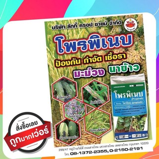 โพรพิเนบ สารป้องกันและกำจัดเชื้อราในนาข้าว,มะม่วง🌾