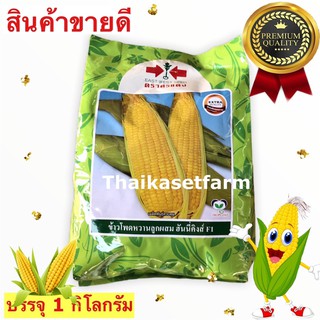 ข้าวโพดหวานฮันนี่คิงส์40ใหม่💥ศรแดง1กิโลกรัม🌽ขายดี ‼️