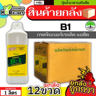 💥💥 สินค้ายกลัง 💥💥 วิตามินB1 1ลิตร*12ขวด น้ำยาเร่งราก กระตุ้นราก กิ่งตอน กระตุ้นรากฝอย