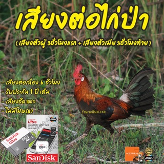 เสียงต่อไก่ป่า (เสียงตัวผู้ 3ชั่วโมงแรก+เสียงตัวเมีย 3ชั่วโมงท้าย) ไม่มีโฆษณา เมมโมรี่เล็ก(Micro SD) มีเก็บเงินปลายทาง