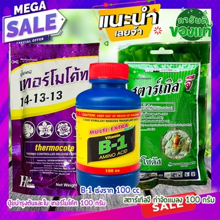 ครบเซ็ต🔸 ปุ๋ยเทอร์โมโค้ท+น้ำยาเร่งรากB1+สตาร์เกิลจีกำจัดแมลง 🔸 100กรัม ปุ๋ยกุหลาบ ปุ๋ยแคตตัส ไม้ดอกไม้ประดับทุกชนิด