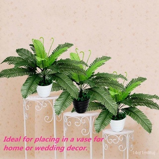 Livecity  1Pc Artificial Foliage Plant Green Fern Office Home Garden Wedding Decoration苹果/文胸/玫瑰/男装/花园/儿童/香菜/园艺/木瓜/向日葵/ D