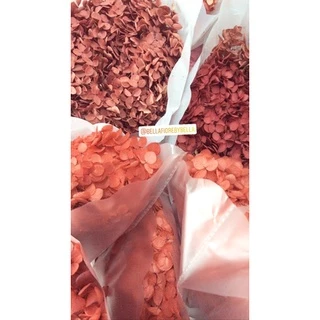 ดอกไม้แห้ง (พร้อมส่ง) ไฮเดรนเยีย preserved ดอกไม้แห้ง ดอกไม้จริงอบแห้งเก็บได้นานมากกว่า 2ปี