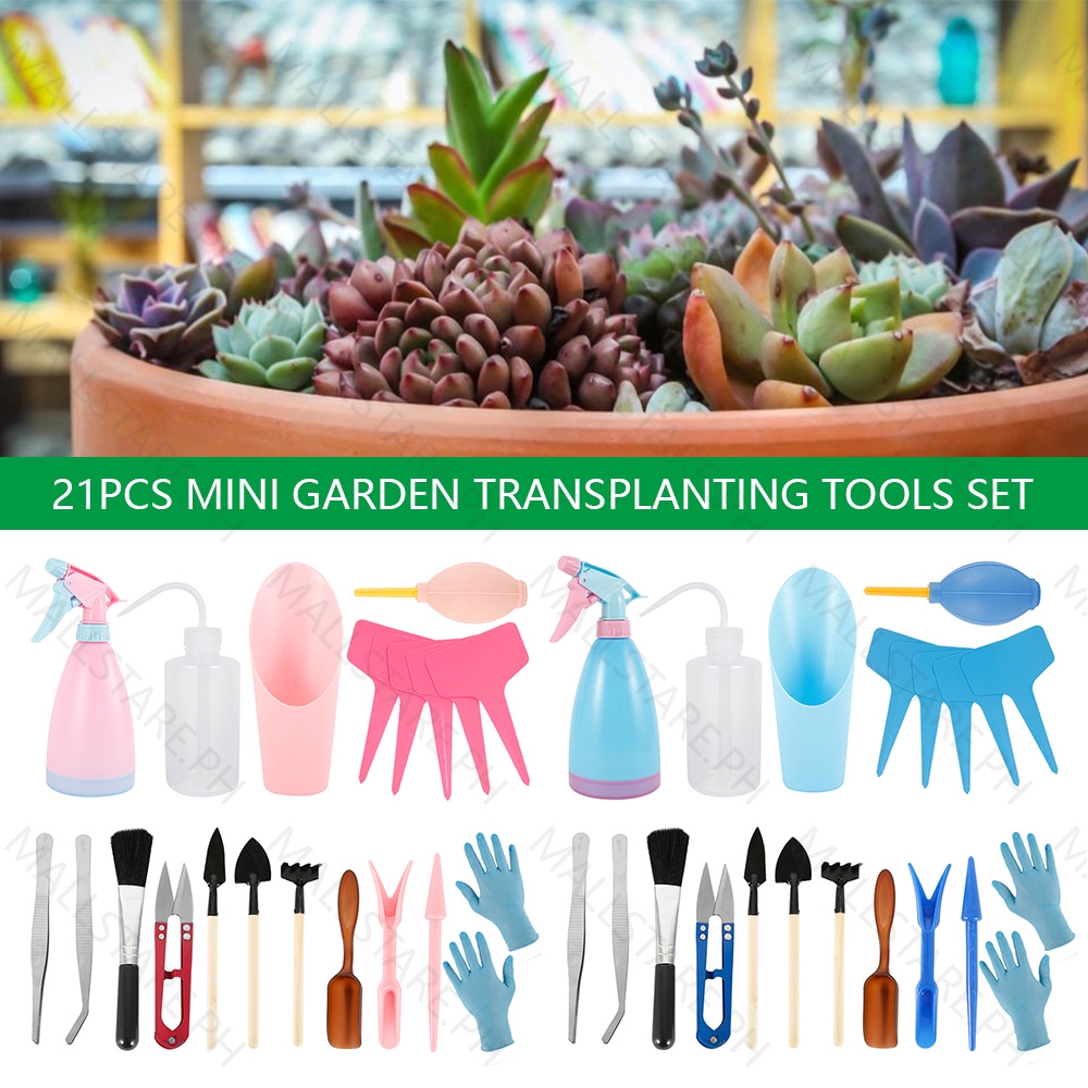 Kit D'outils Pour Succulentes Et Bonsaï - 14 Pièces, Avec Arrosoir, Pincettes, Ciseaux, Pour Mini Jardinage