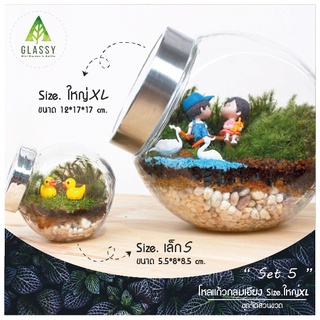 ชุดจัดสวนขวดแก้ว ขนาดใหญ่ XL ทรงกลมเอียง ตั้งได้2แบบ Terrarium Set 5 ชุดจัดสวนขวดครบเซ็ต พร้อมส่ง