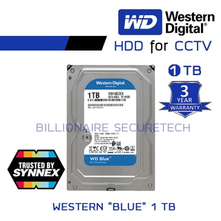 WD BLUE 1TB 3.5" WD10EZEX ( สีฟ้า ) BY BILLIONAIRE SECURETECH