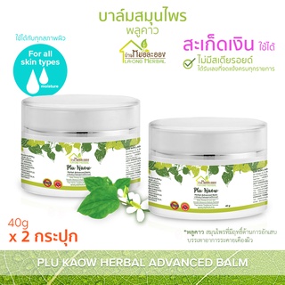 บ้านหมอละออง บาล์มสมุนไพร พลูคาว 40g บาล์ม สะเก็ดเงิน ใช้ได้ ผิวสวยที่รังสรรค์จากธรรมชาติ บาล์มพลูคาว แอ๊ดวานซ์ Advanced