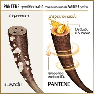 แพนทีน แชมพู แฮร์ฟอลคอนโทรล 380 มล. + 3 มินิท มิราเคิล ไบโอติน สเตรงท์ คอนดิชั่นเนอร์ 270 มล.