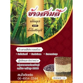 ข้าวสามสี สังข์หยด พัทลุง ข้าวเพื่อสุขภาพ ข้าวใหม่กุมภาพันธ์2569