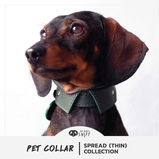 ปลอกคอสัตว์เลี้ยง Spread pet collar (บาง) สลักชื่อ เบอร์โทรฟรี หนังนิ่มแท้ ปลอกคอปกเชิ้ต ปลอกคอสุนัข แมว | Mr.&amp;Mrs.Sniff