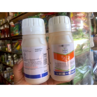 ขายส่ง274฿ วิป® 7.5 (Whip 7.5®) ขนาด 250 cc ฟีโนซาพรอป-พี-เอทิล (fenoxaprop-P-ethyl)