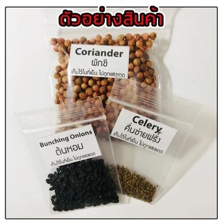 เมล็ดพันธุ์ผักสวนครัว ผักพื้นบ้าน 10 บาท / 12แถม2