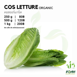 คอสออร์แกนิค Organic Cos Letture ปลูกธรรมชาติมาตรฐานออร์แกนิค IFOAM ผักสลัด ผักสด เก็บ-แพ็ค-ส่ง เก็บใหม่ทุกออเดอร์