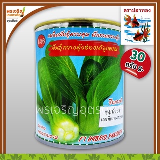 เมล็ดพันธุ์ ผักกาดกวางตุ้ง กวางตุ้งฮ่องเต้ ขงเบ้ง 59 F1 (30 กรัม) เมล็ดกวางตุ้งฮ่องเต้ เมล็ดพันธุ์ผักสวนครัว ตราปลาทอง