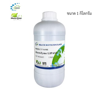 iKnowZyme Lipase เอนไซม์ไลเปส ขนาด 1 กิโลกรัม