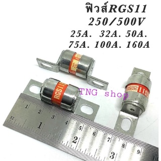 ฟิวส์ รุ่น RGS11 250/500V มี 25A, 32A, 50A, 75A, 100A, 160A