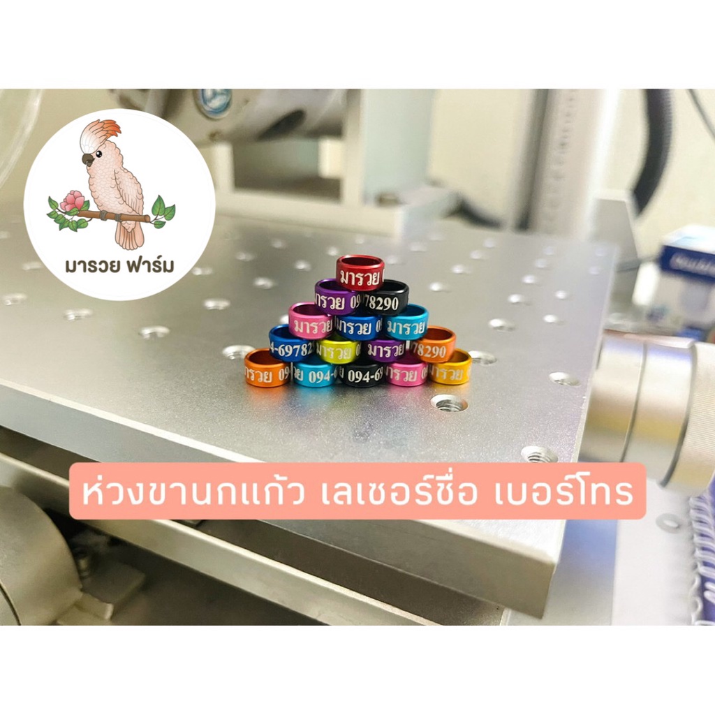 ซื้อ ห่วงขานกแก้ว เลเซอร์ ชื่อ เบอร์โทร มีทุกขนาด