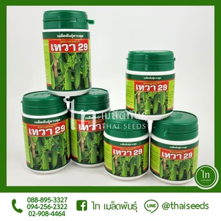 แตงกวา เทวา 29 เมล็ดพันธุ์ แตงกวา ลูกผสม ตรา เสือดาว บรรจุ 100/50 กรัม