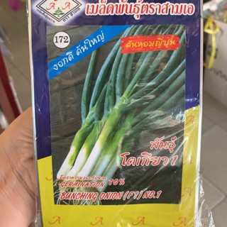 เมล็ดพันธ์ุต้นหอมญี่ปุ่น(ตรา3A)น้ำหนักสุทธิ0.5กรัม